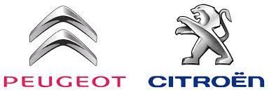 Citroen / Peugeot J2534 Diagnostic Software IMG